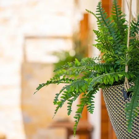 Residenze Longhi Panzió