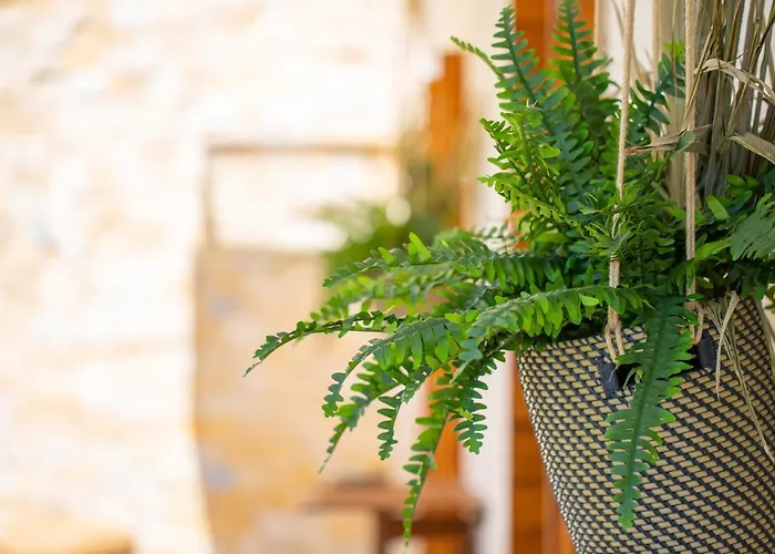 Residenze Longhi Bed & Breakfast