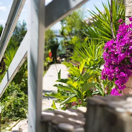 Residenze Longhi Bed & Breakfast